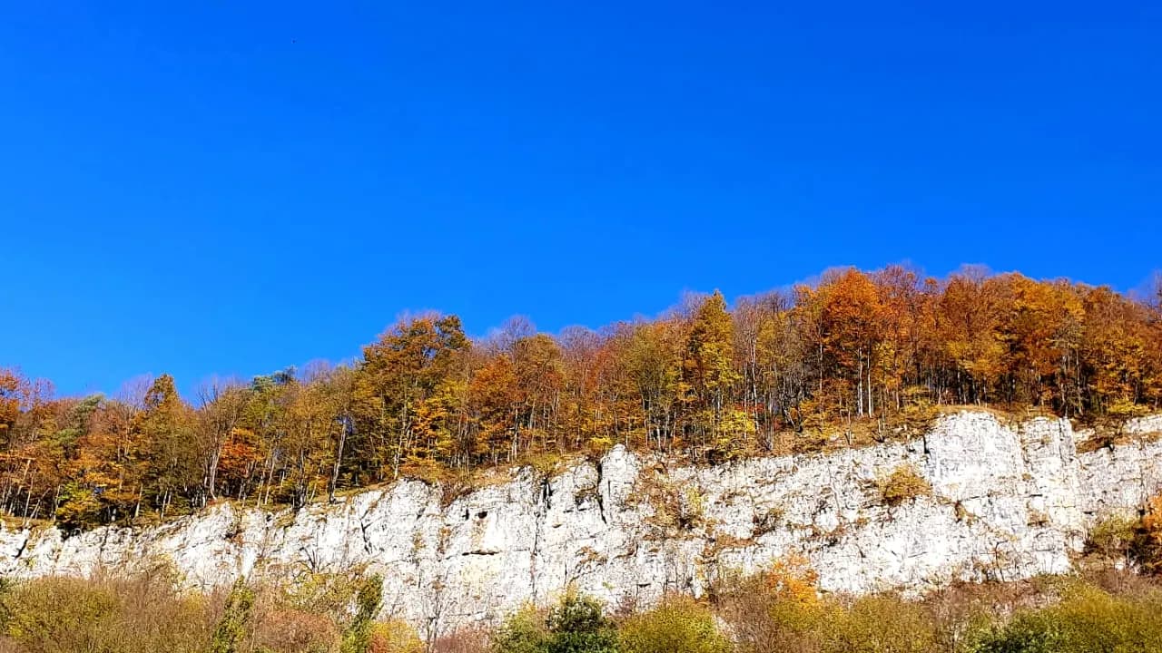 Изображение услуги2