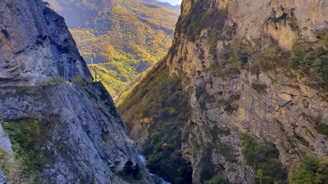 Изображение услуги3