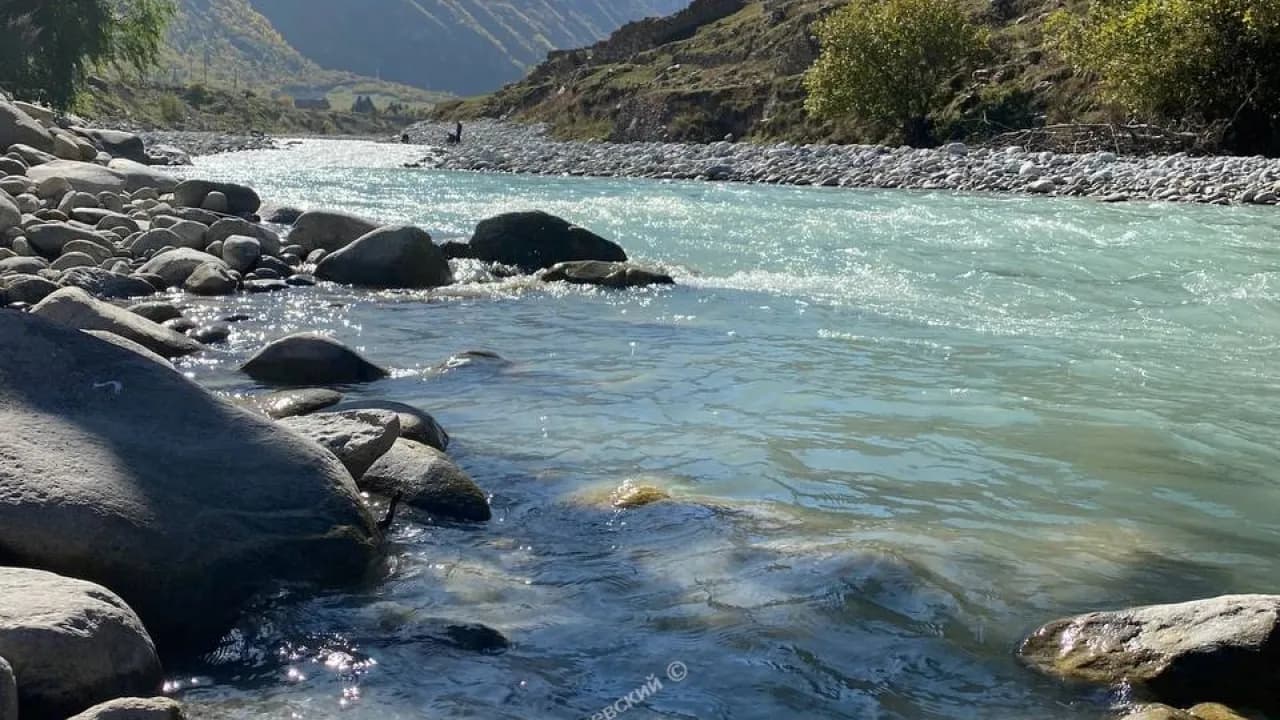 Изображение услуги1