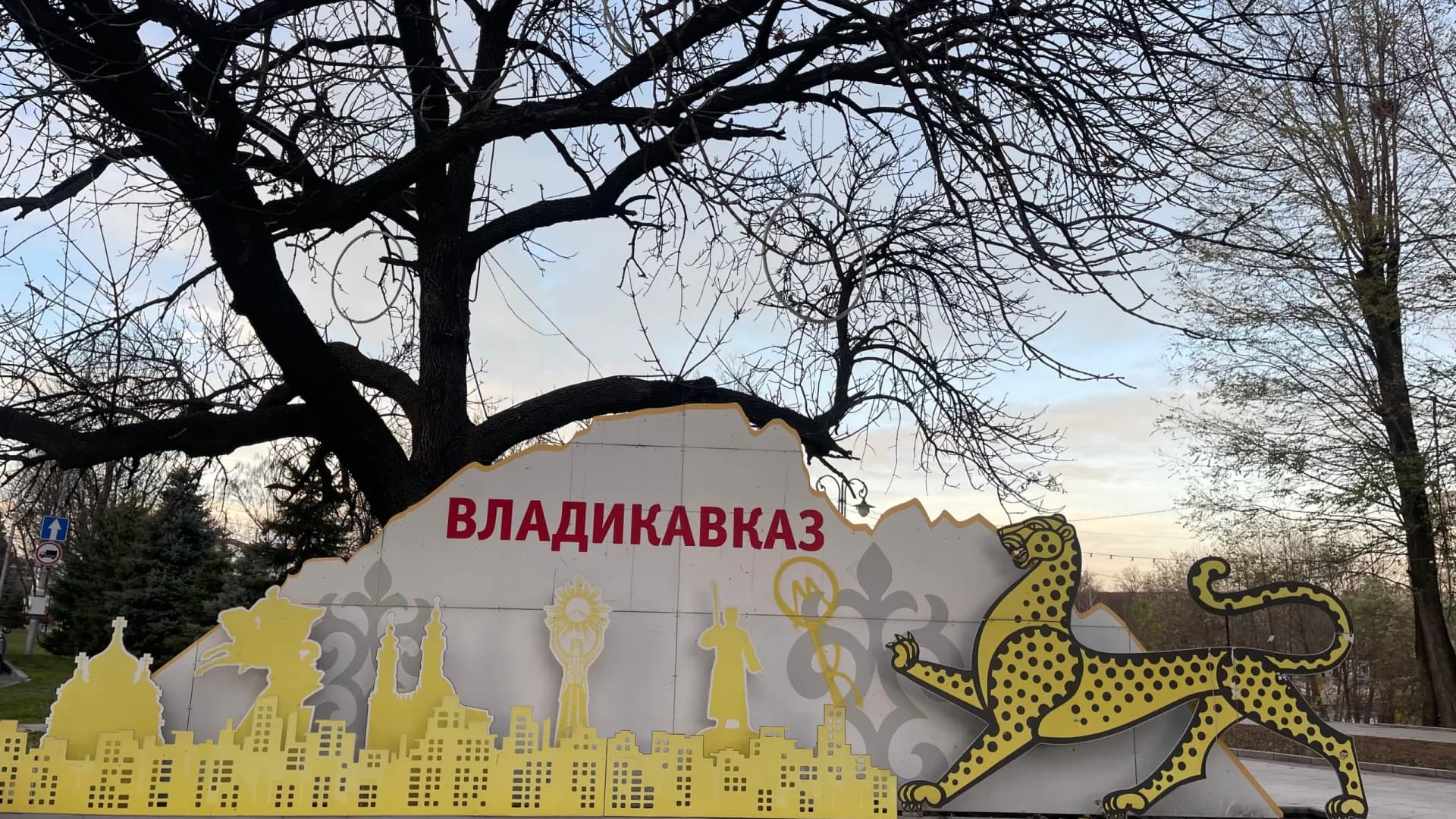 Изображение услуги1