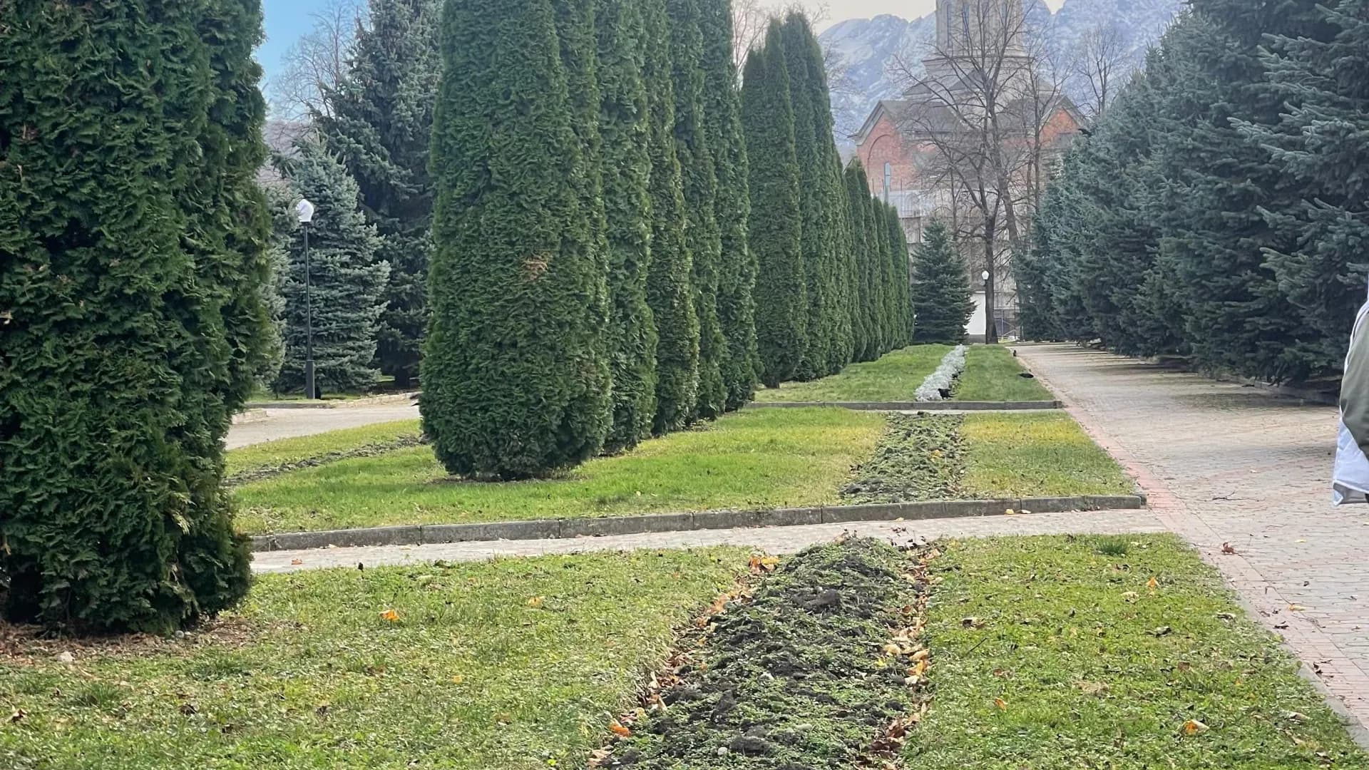 Изображение услуги3