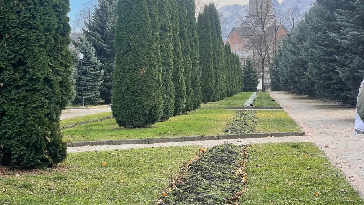 Изображение услуги3