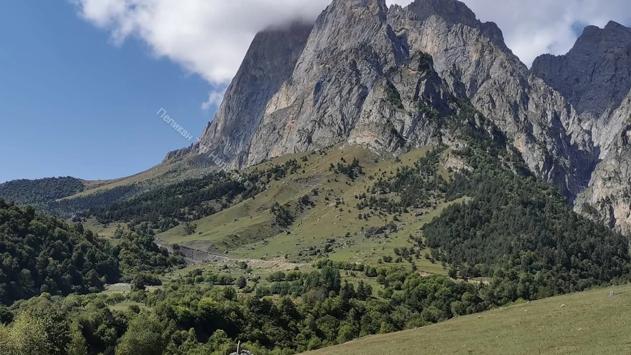 Изображение услуги4