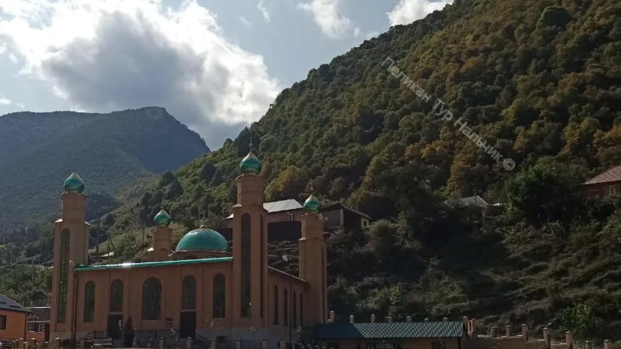 Изображение услуги5