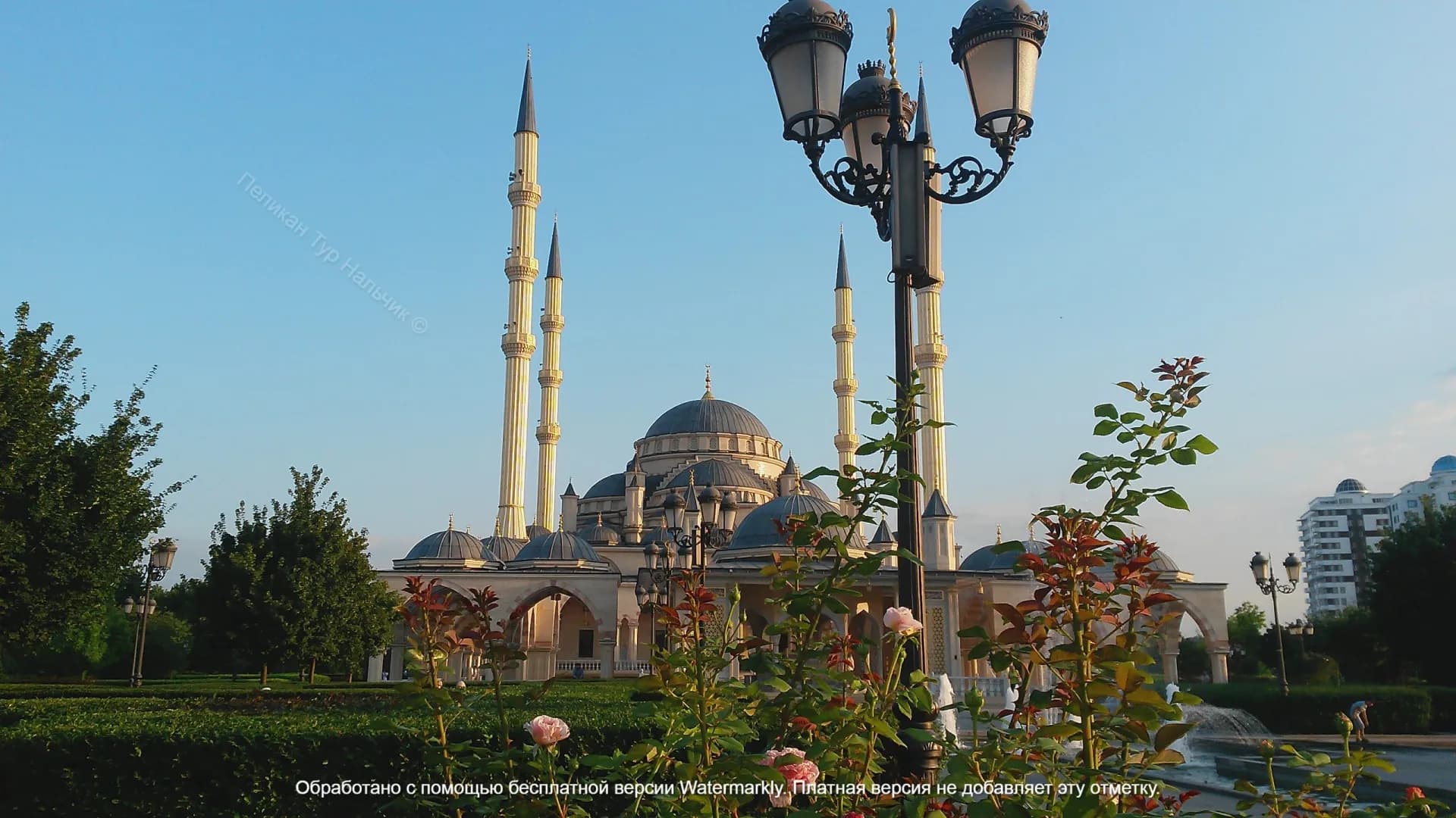 Изображение услуги7