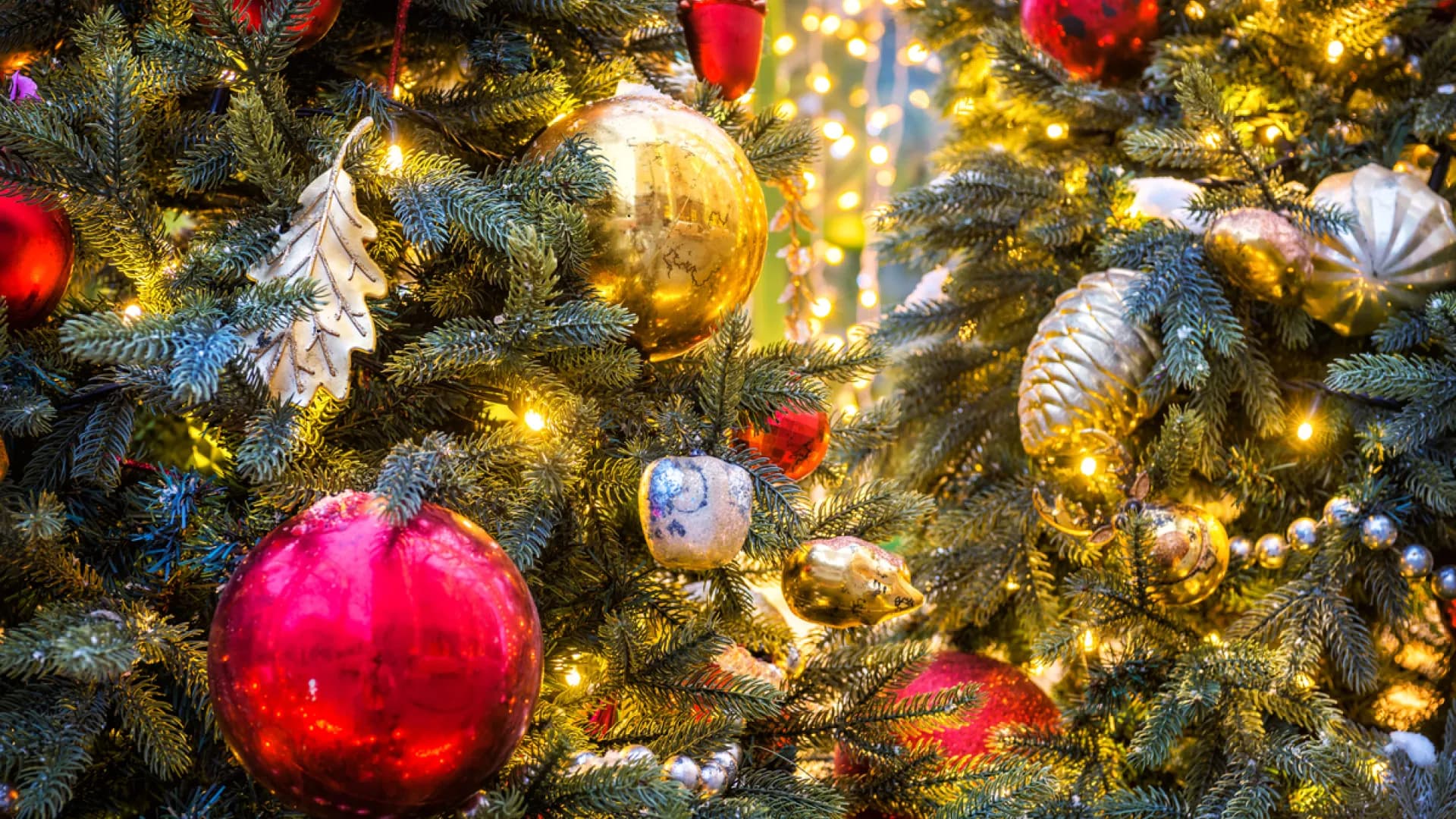 Изображение услуги1