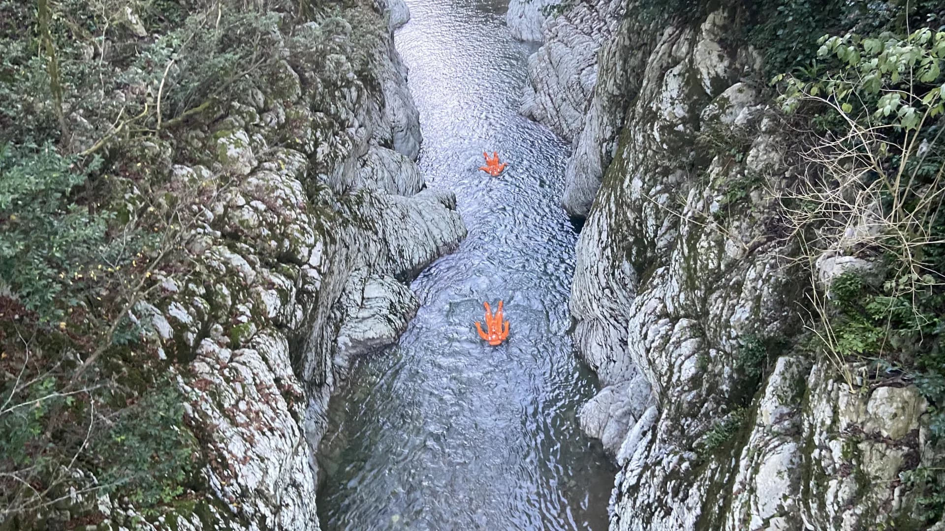 Изображение услуги1