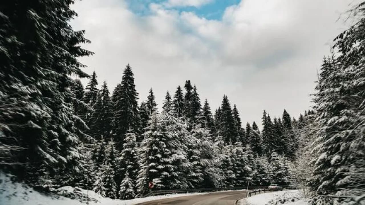 Изображение услуги1