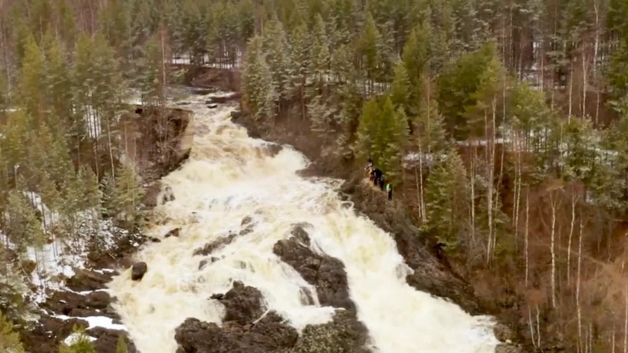 Изображение услуги5