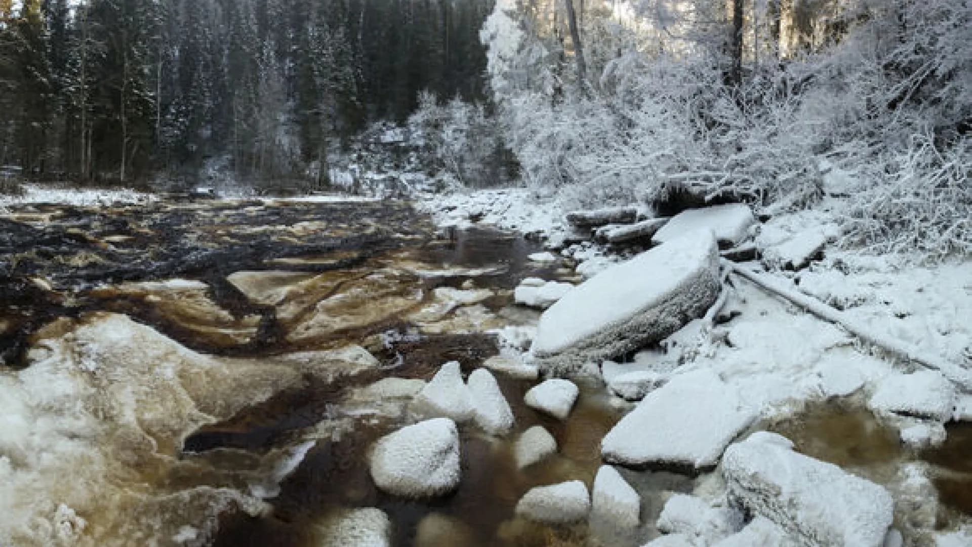 Изображение услуги1