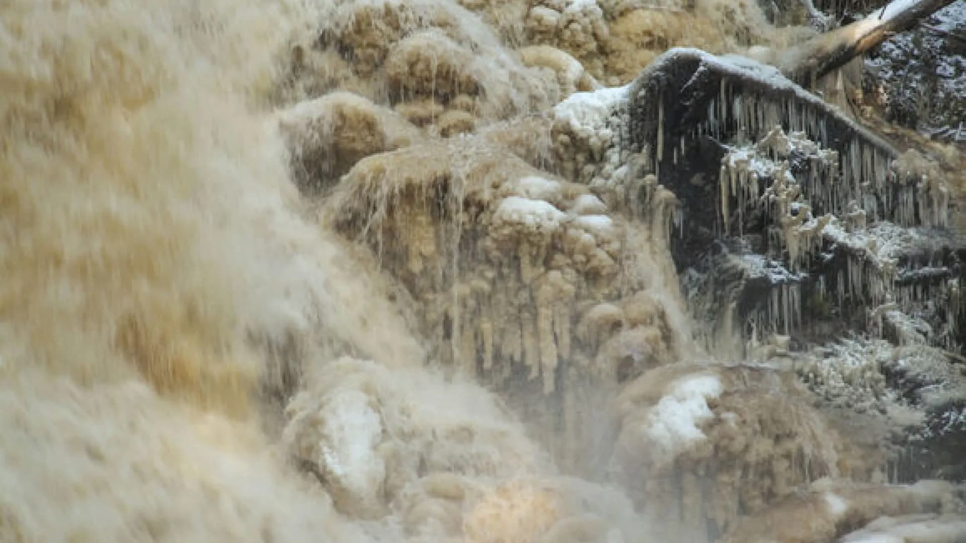 Изображение услуги5