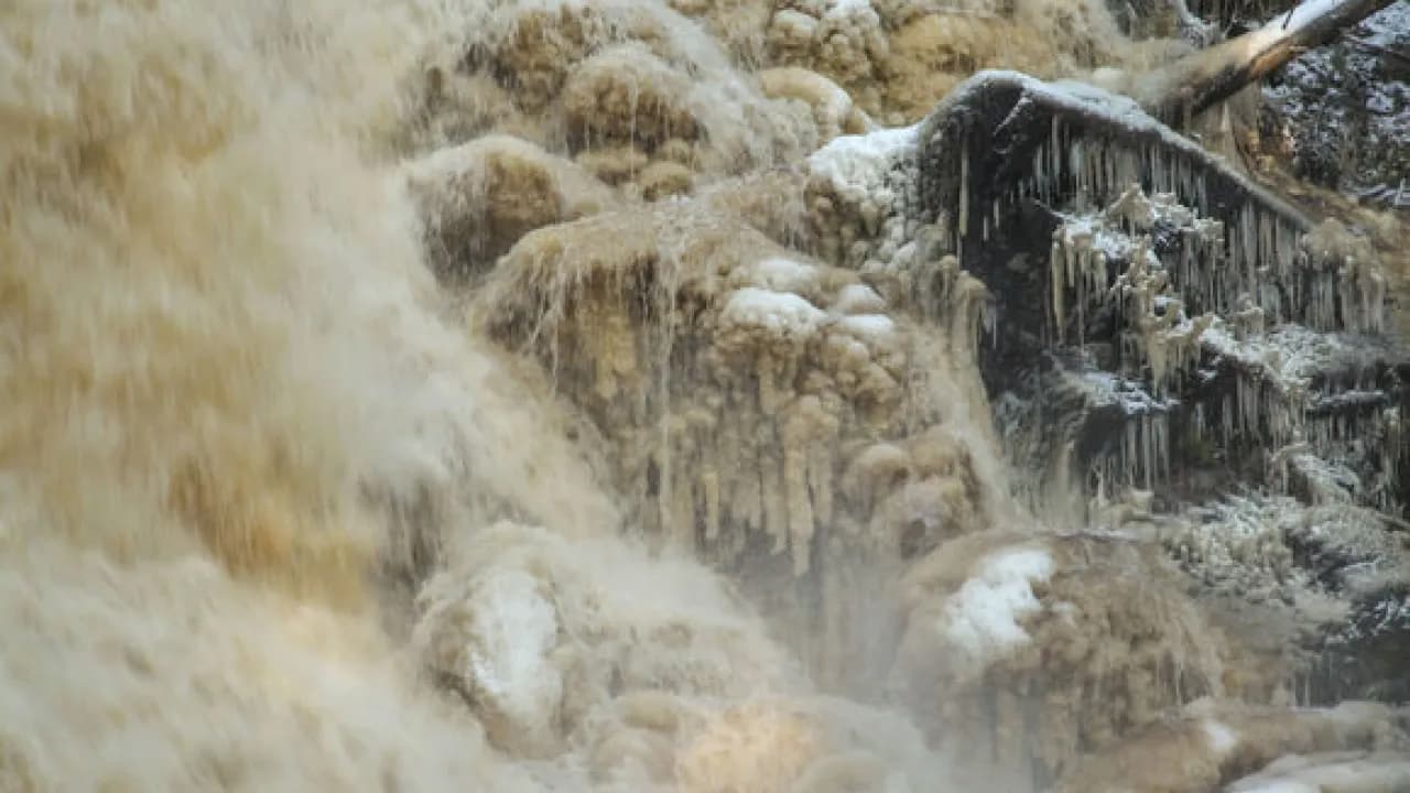 Изображение услуги5