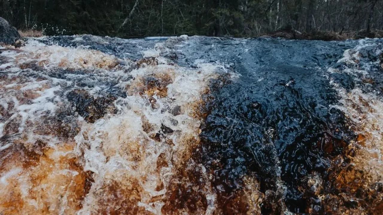 Изображение услуги8