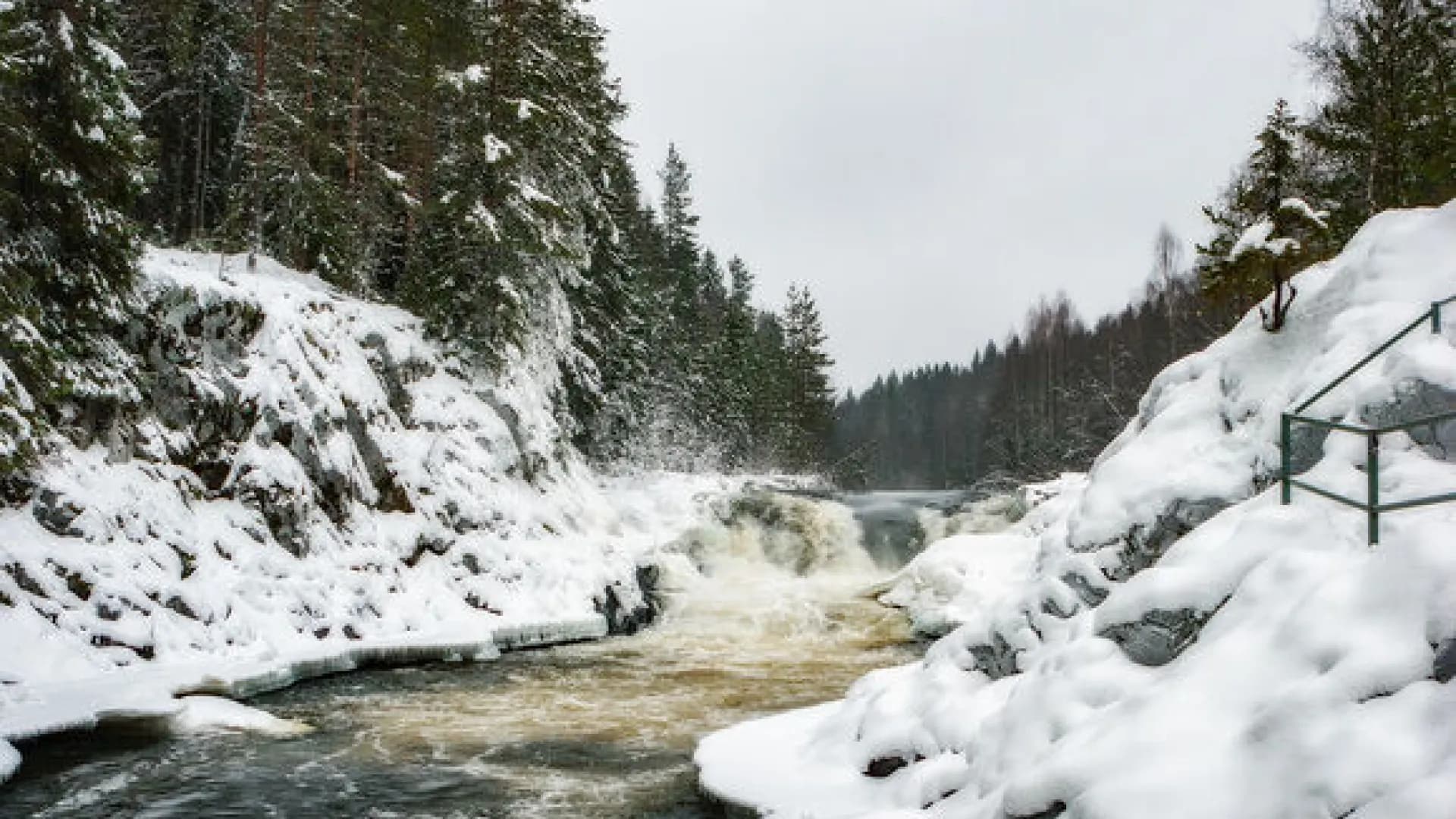 Изображение услуги5