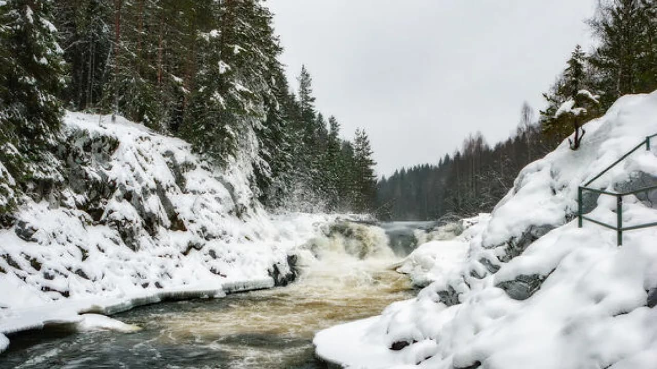 Изображение услуги5