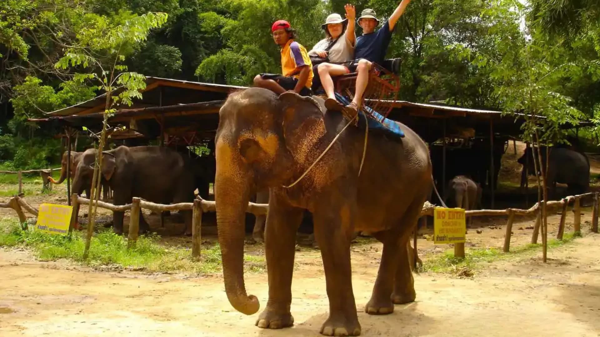 Изображение услуги3