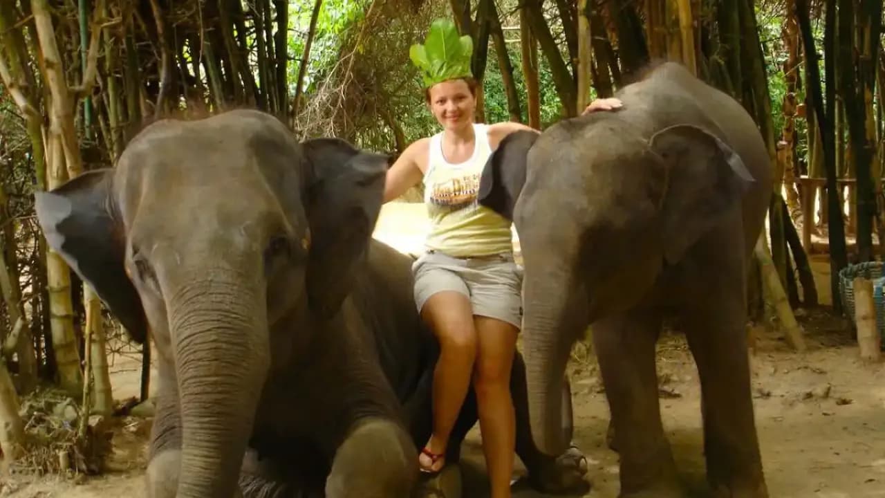 Изображение услуги5