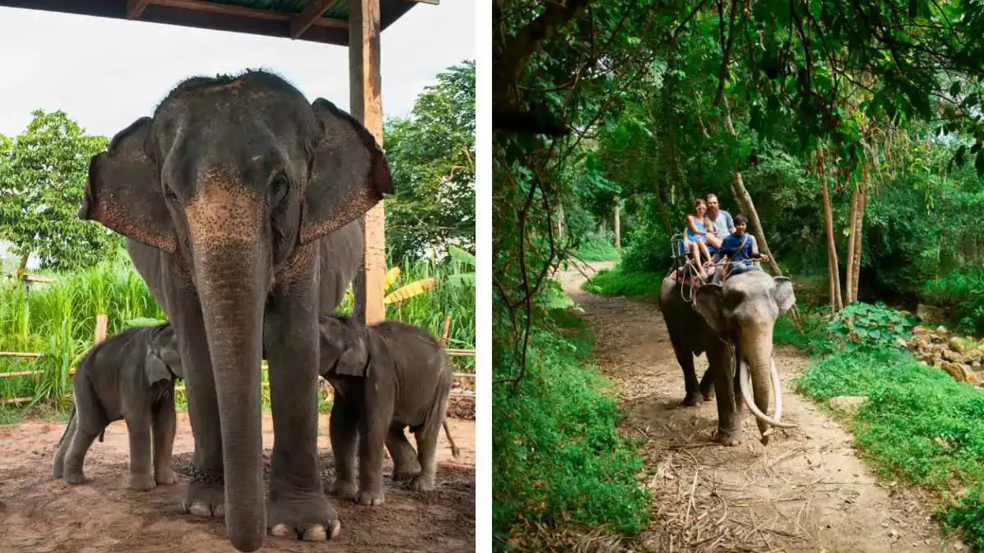 Изображение услуги9