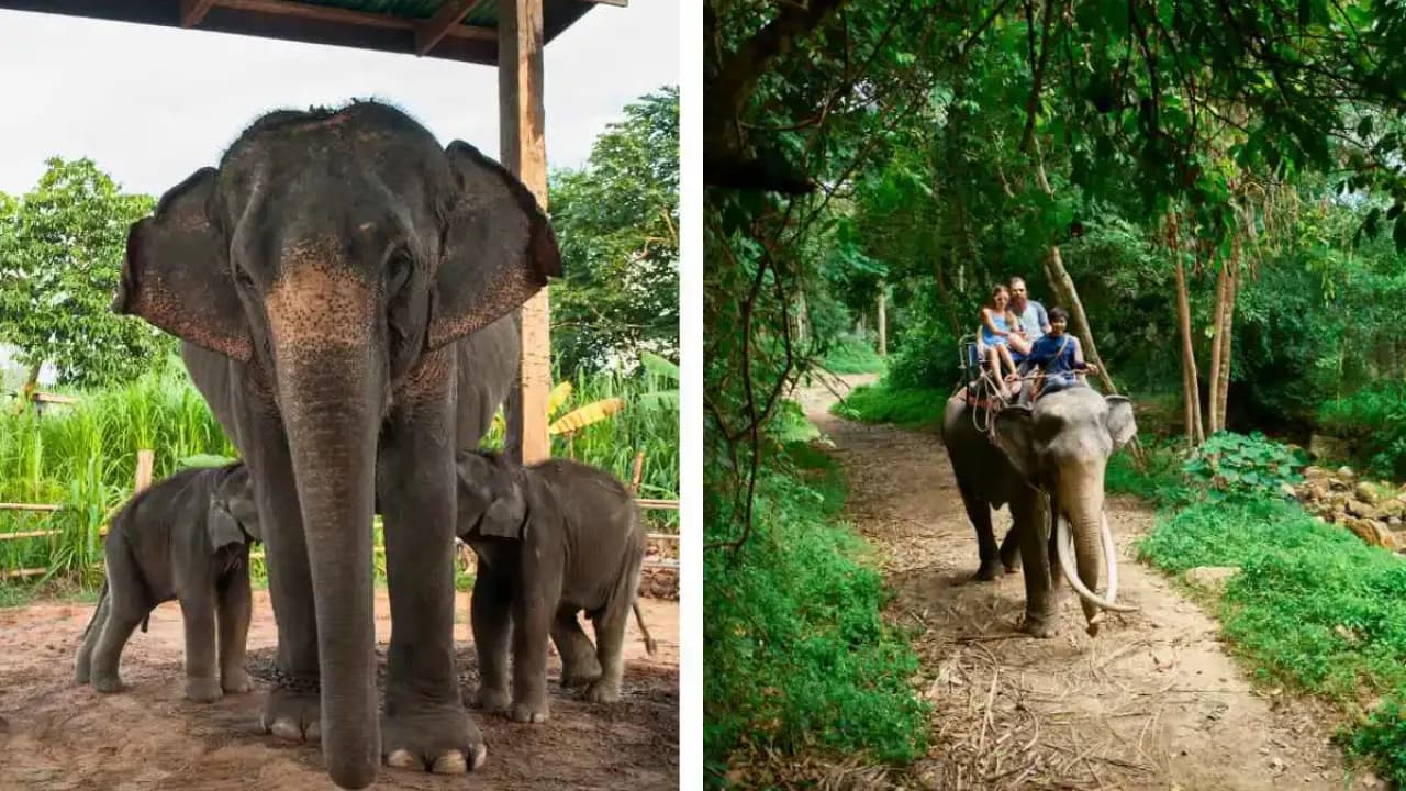 Изображение услуги9