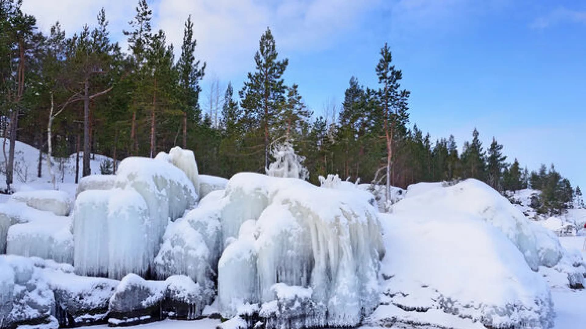 Изображение услуги0