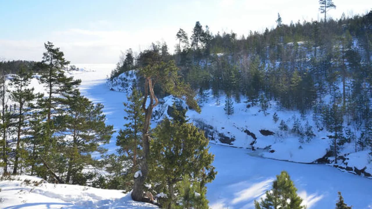 Изображение услуги1