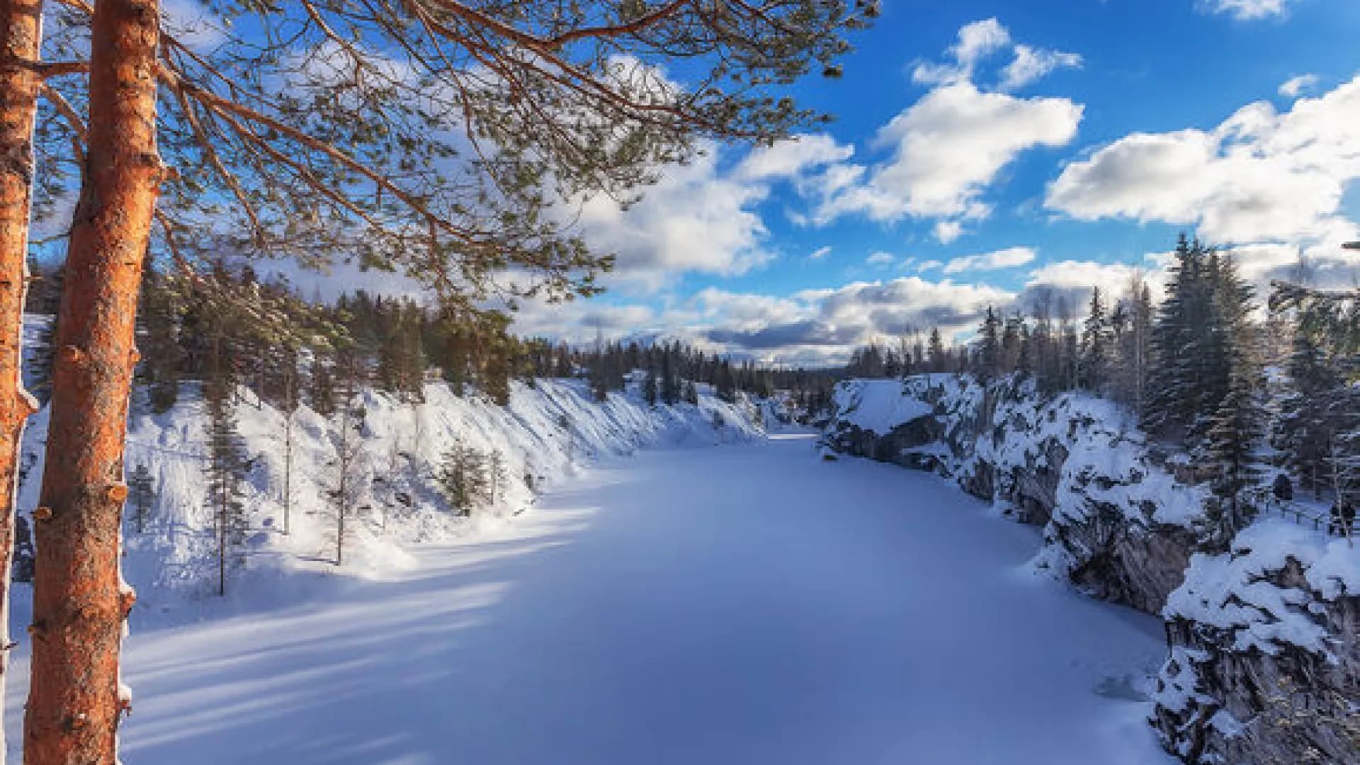 Изображение услуги7