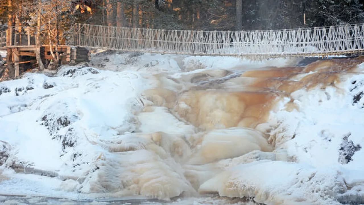 Изображение услуги8