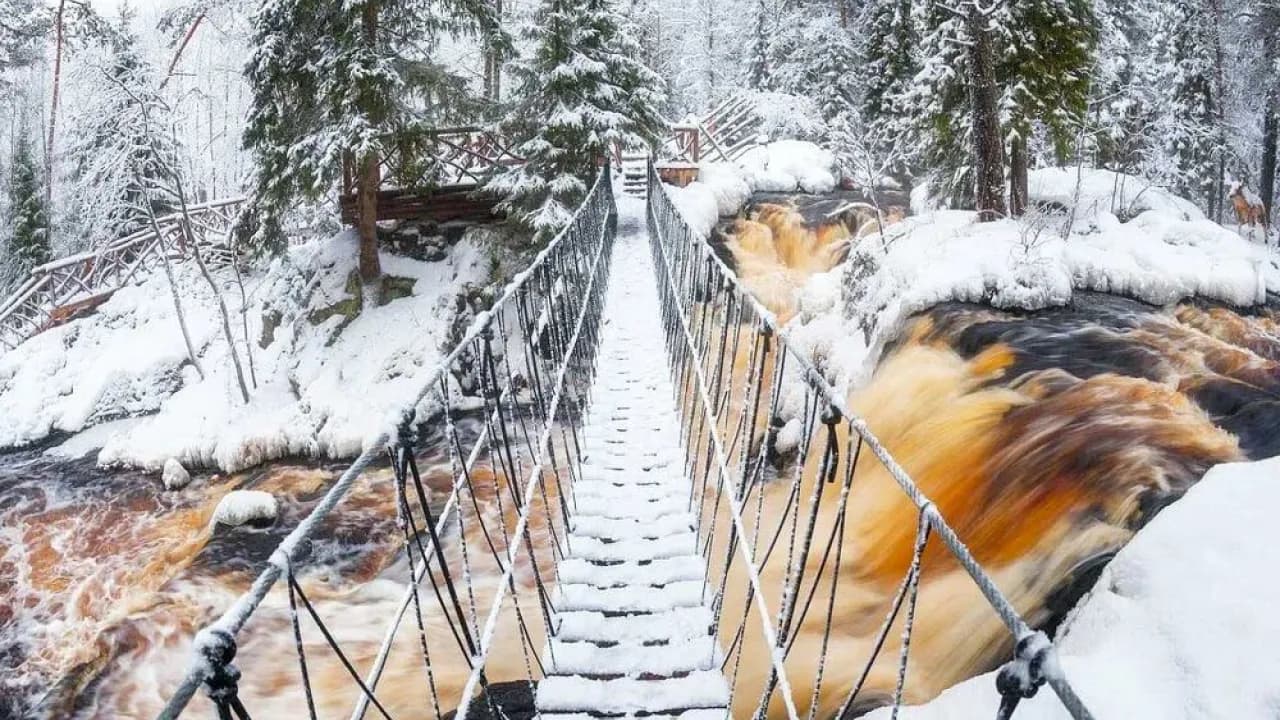 Изображение услуги11