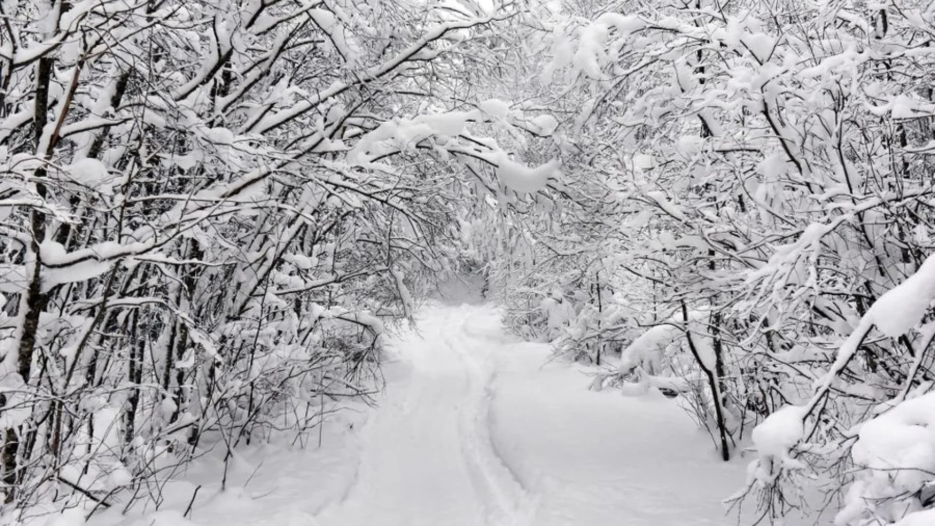 Изображение услуги3