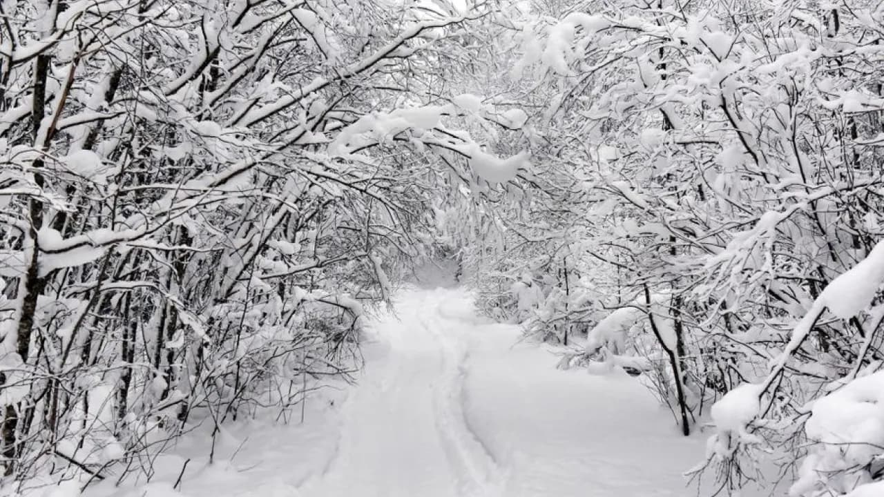 Изображение услуги3