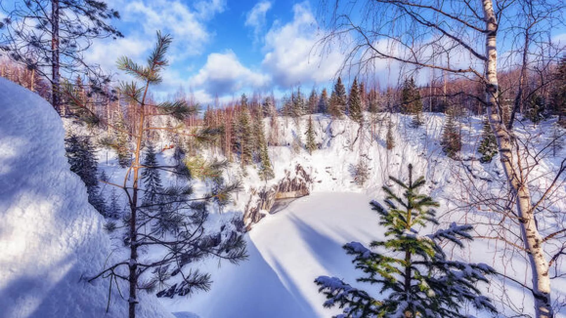 Изображение услуги5