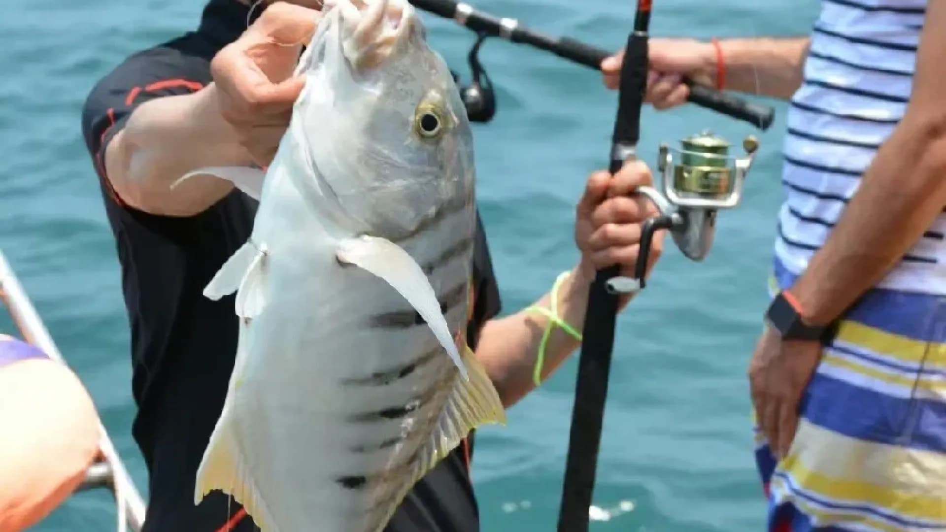 Изображение услуги1