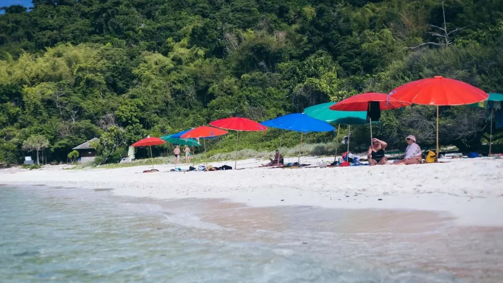 Изображение услуги1