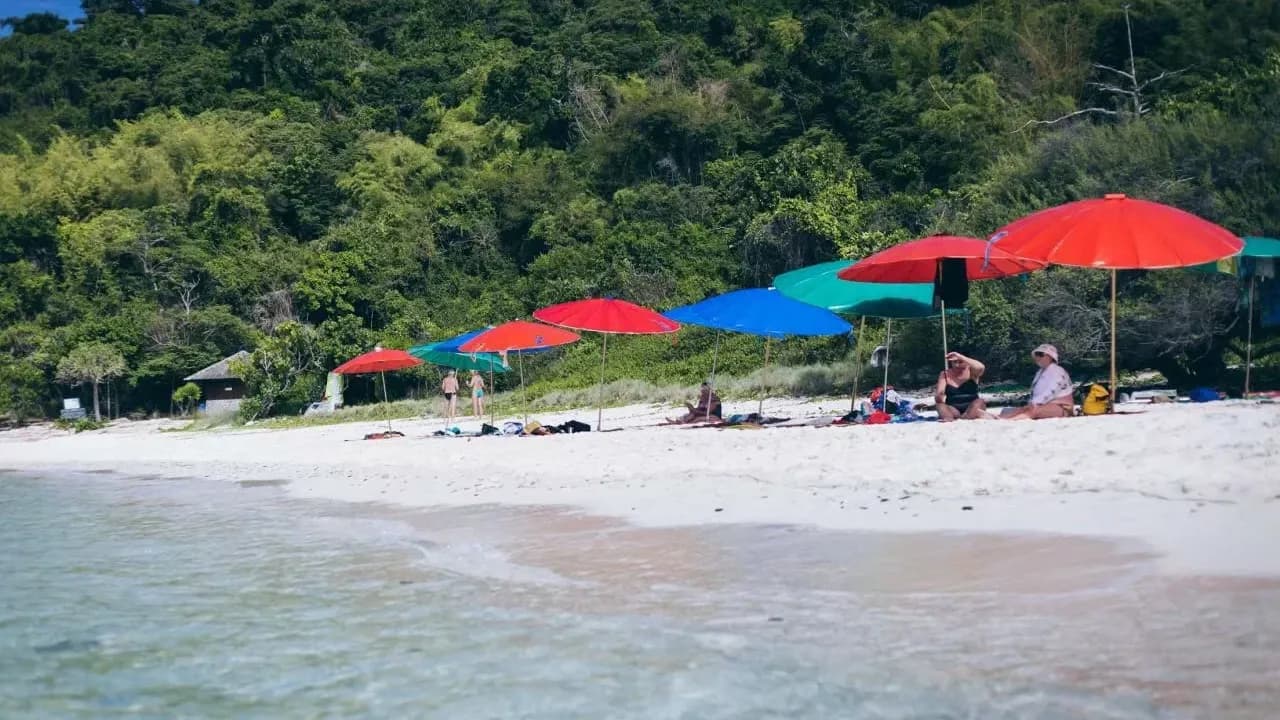 Изображение услуги1