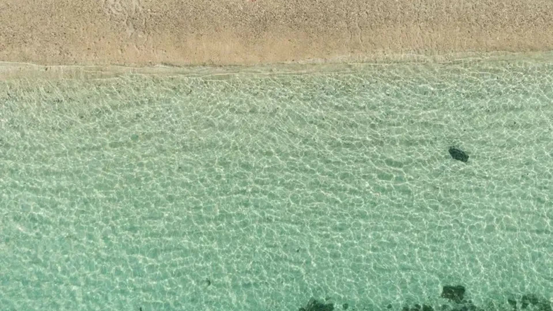 Изображение услуги2