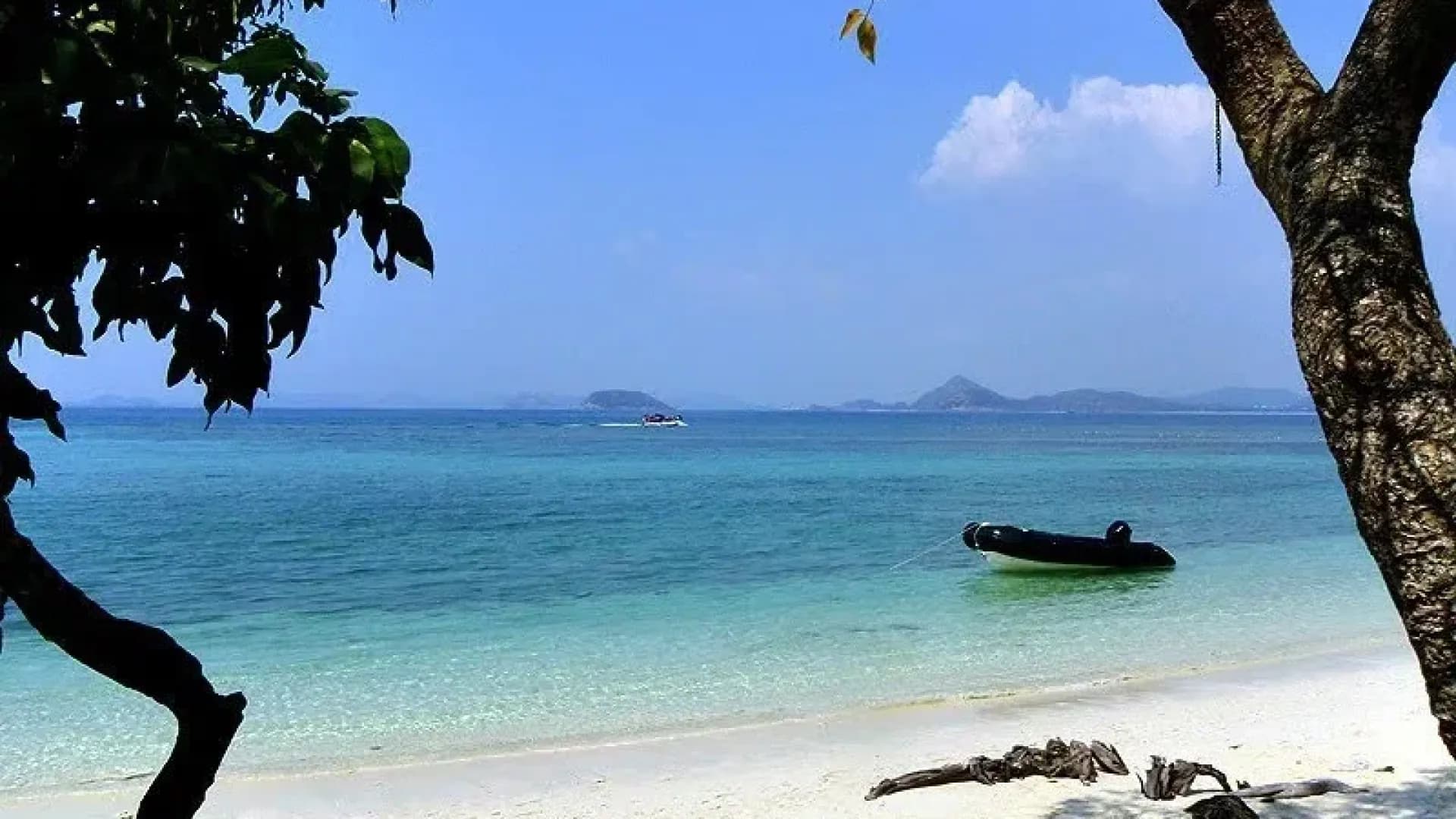 Изображение услуги2