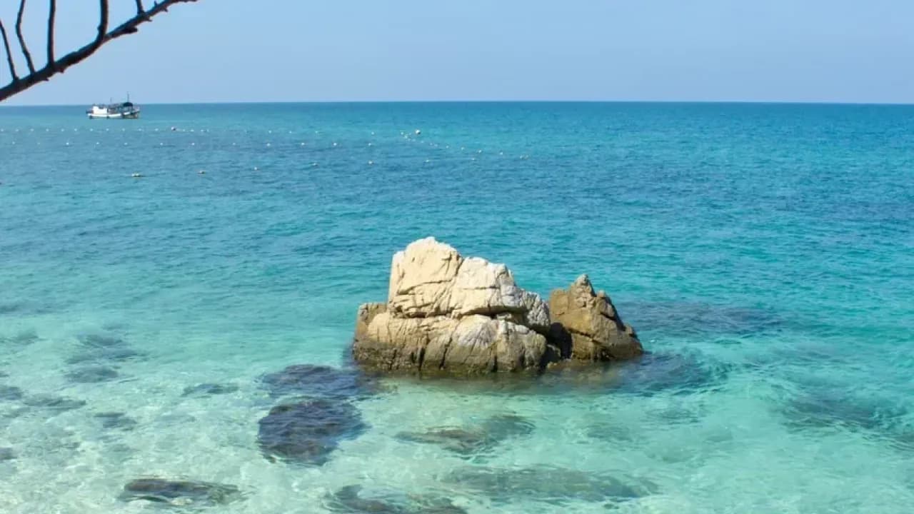 Изображение услуги3