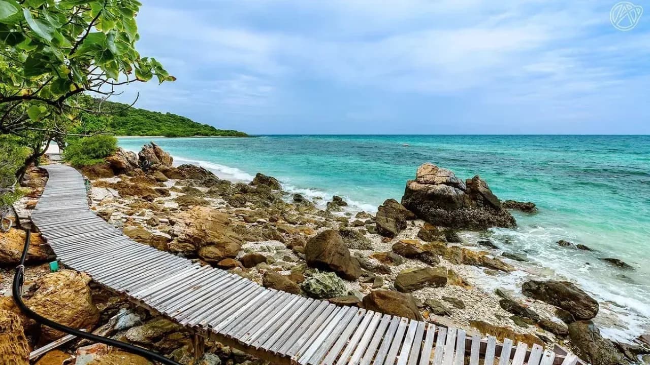 Изображение услуги4