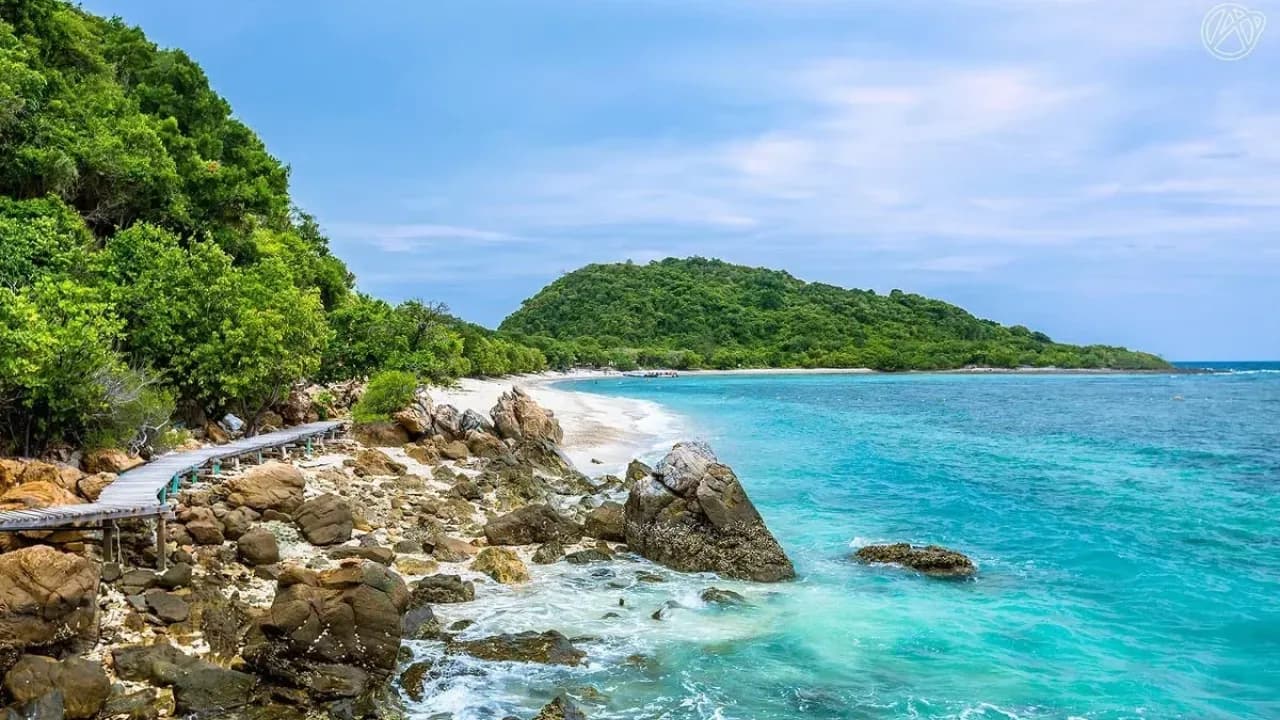 Изображение услуги5