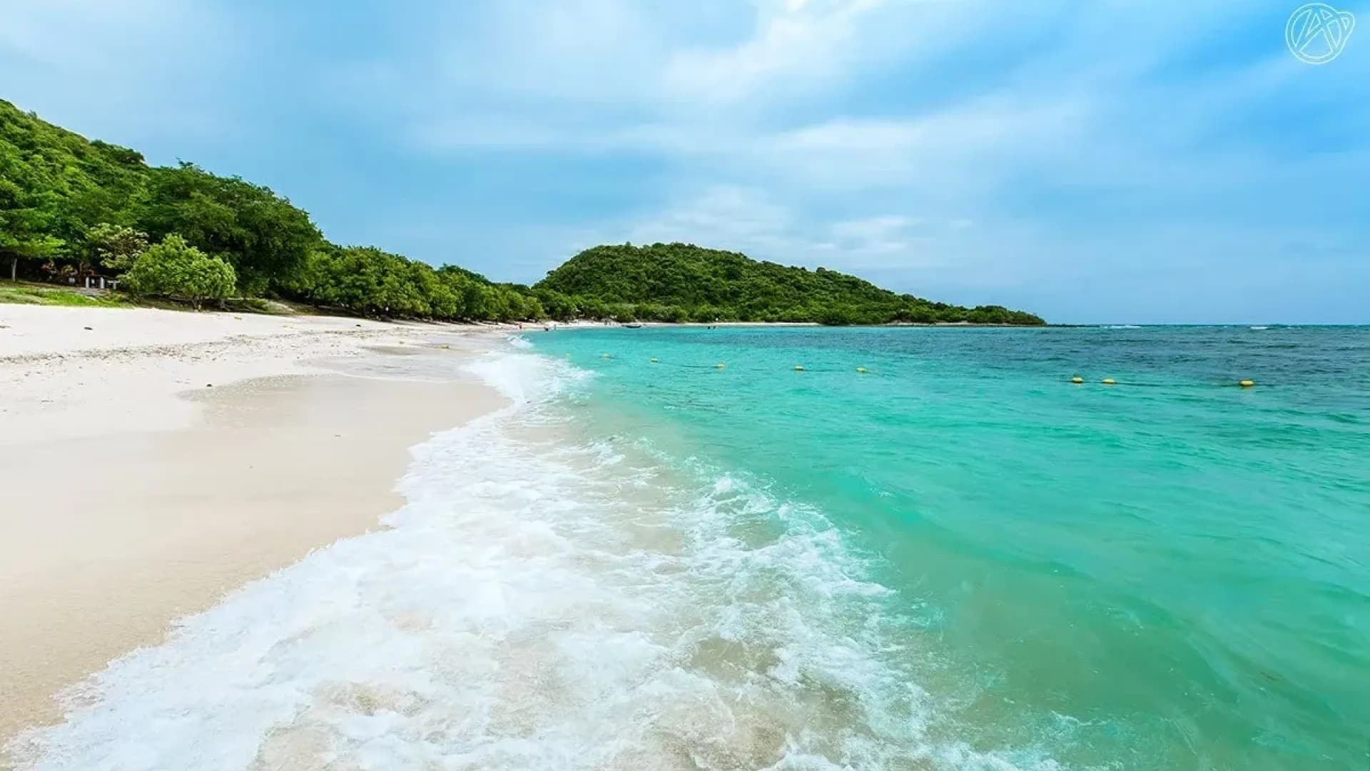 Изображение услуги8