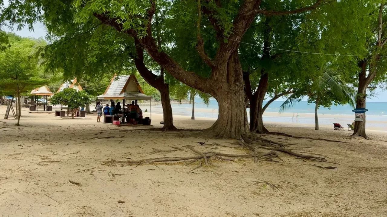 Изображение услуги3