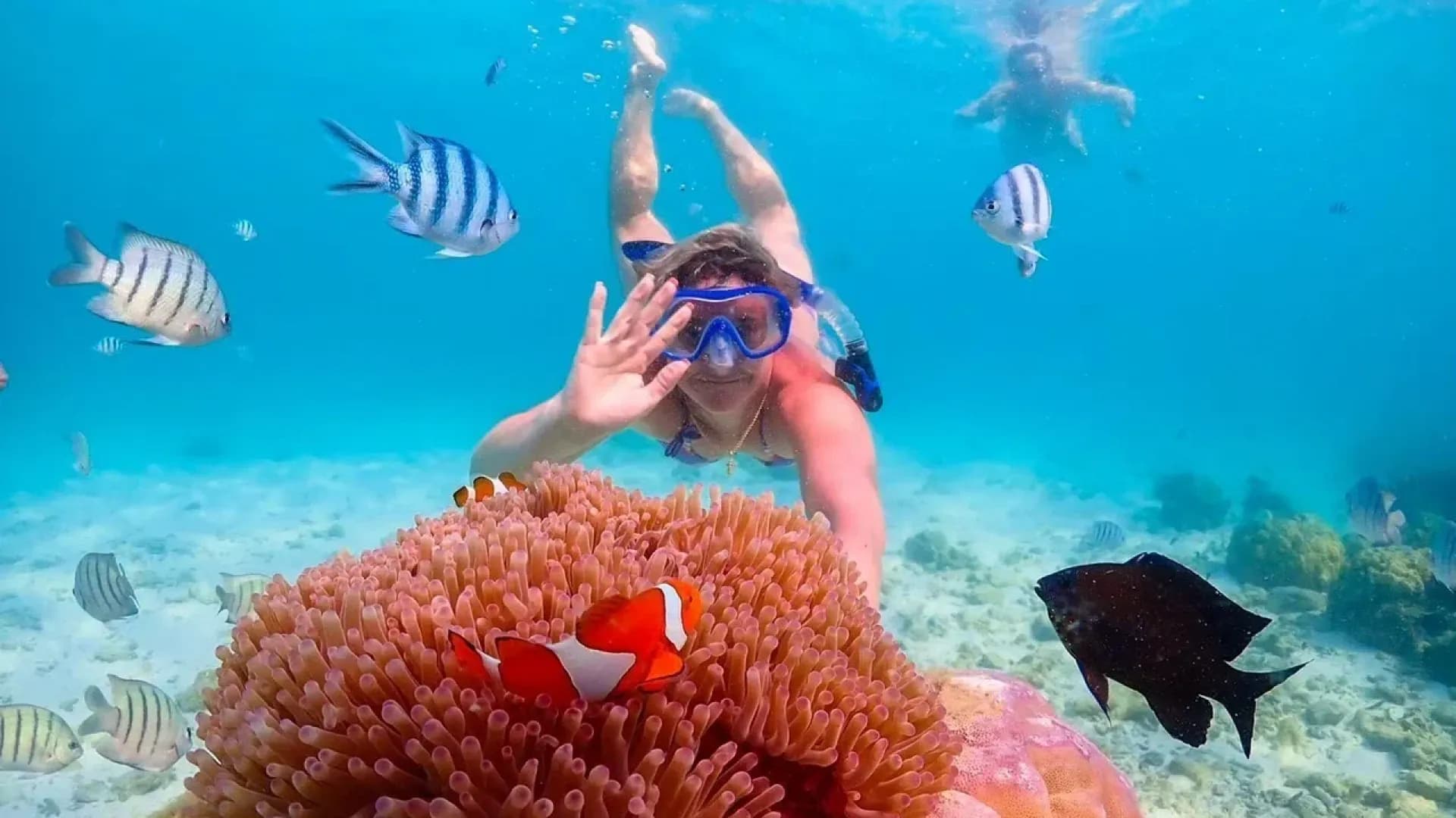 Подводная одиссея из Паттайи