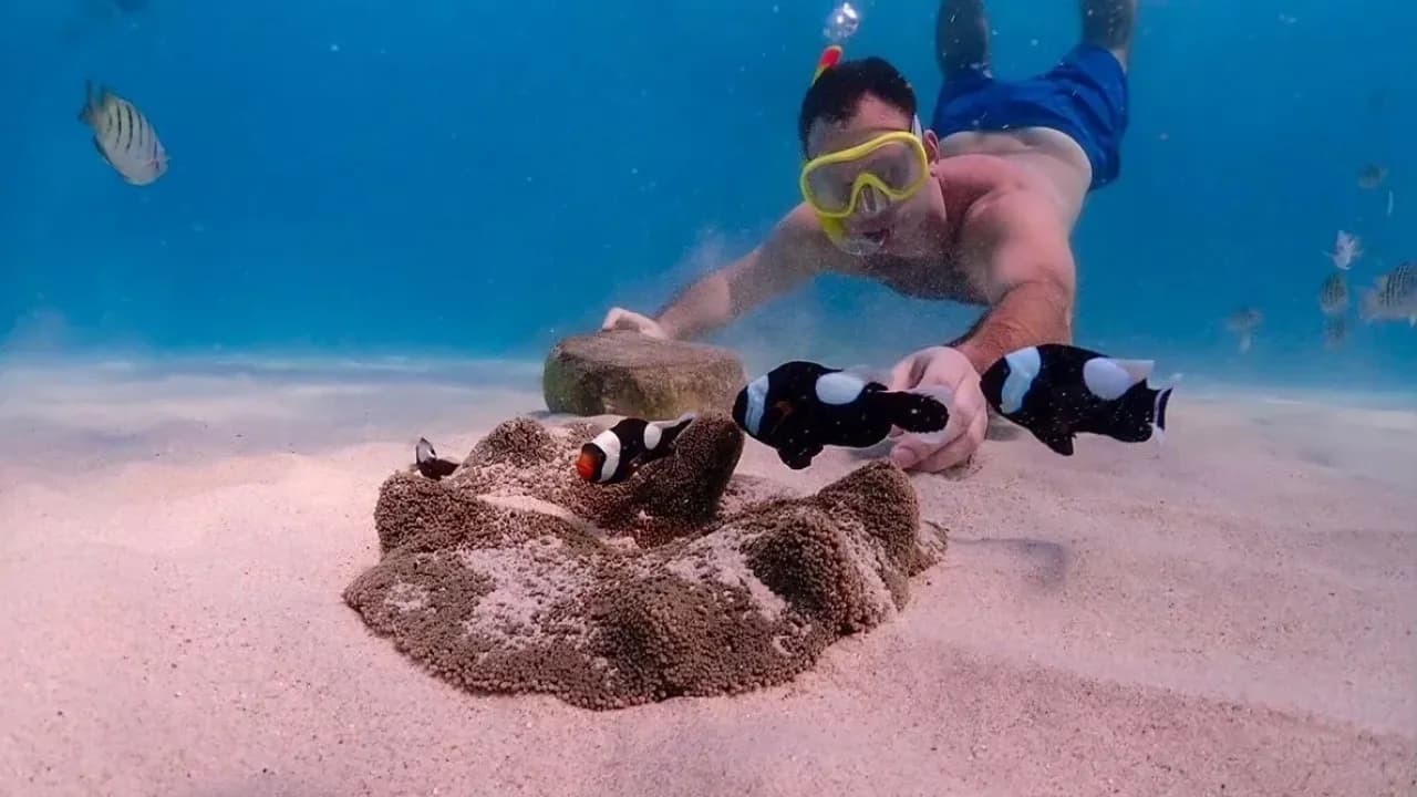 Изображение услуги1