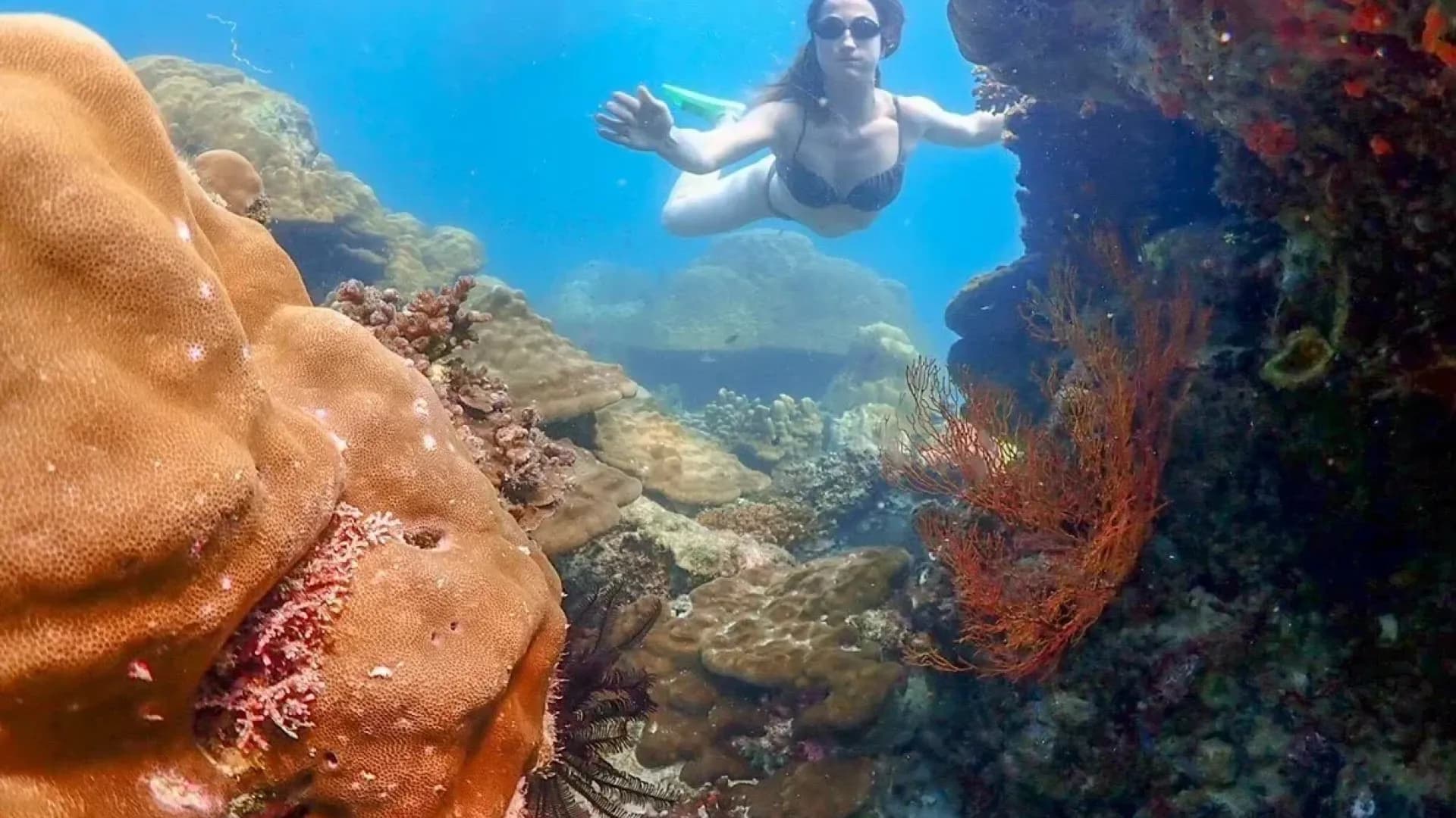 Изображение услуги3