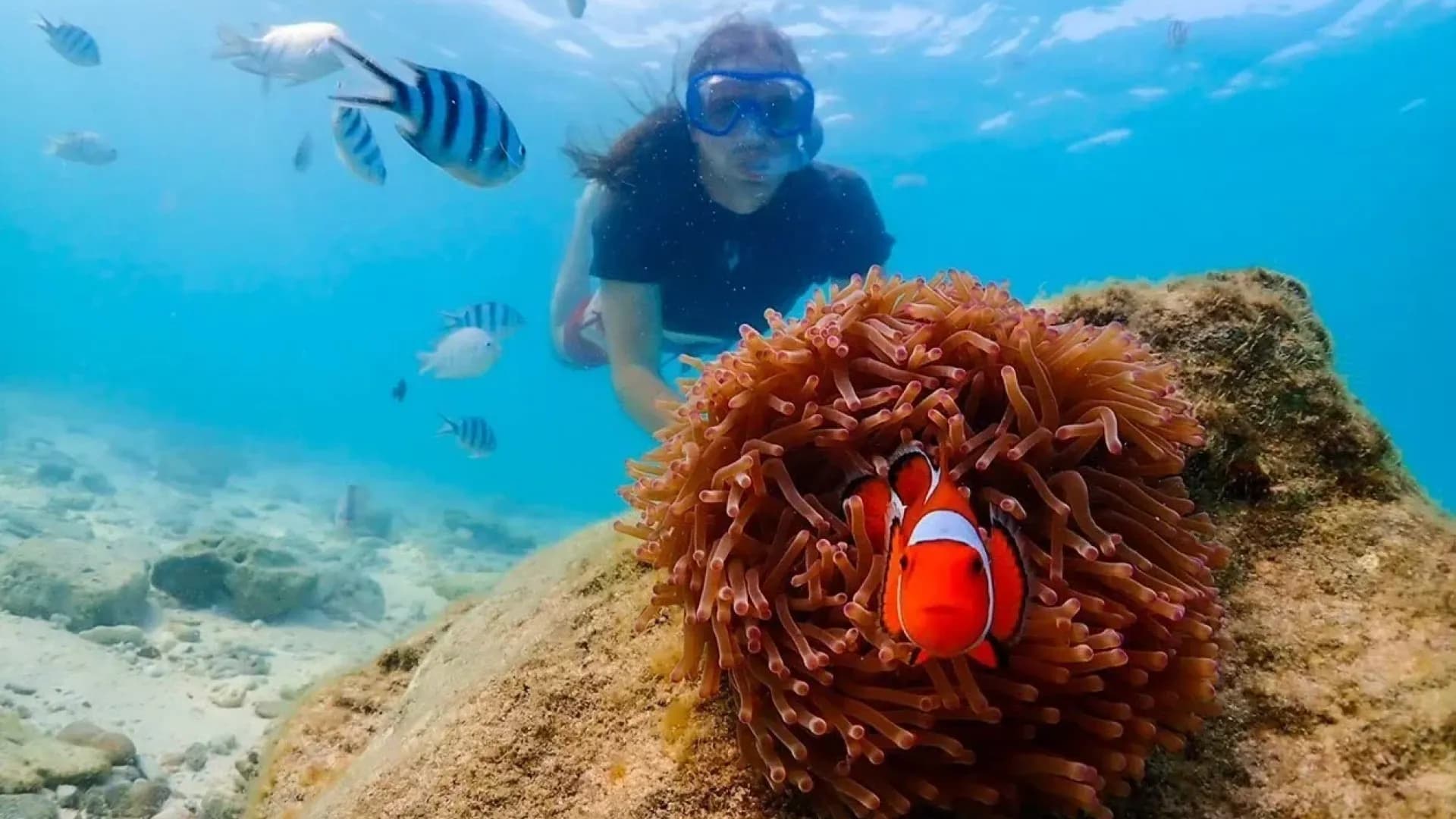 Изображение услуги4