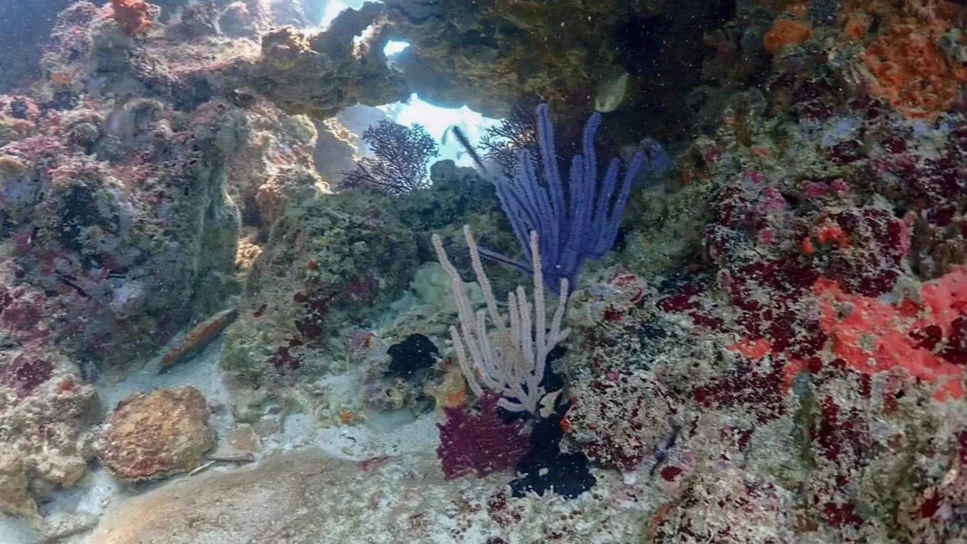 Изображение услуги5