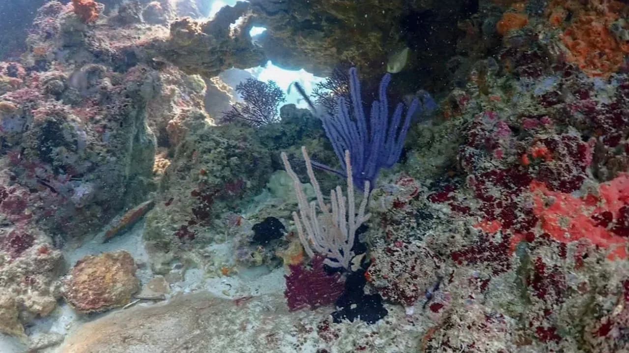 Изображение услуги5