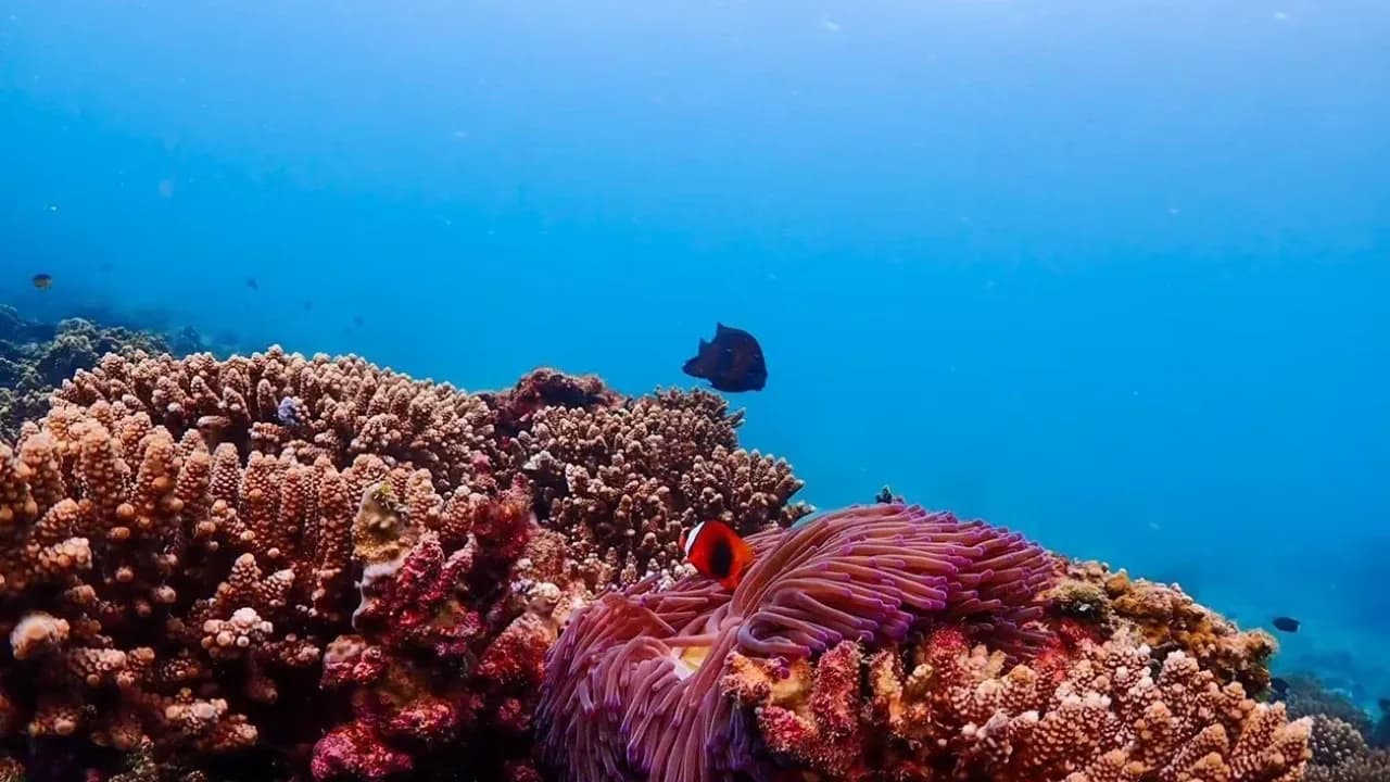 Изображение услуги6