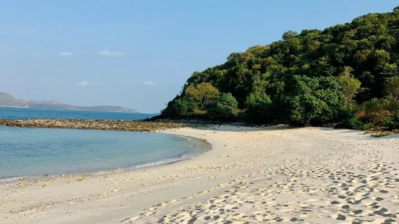 Изображение услуги7