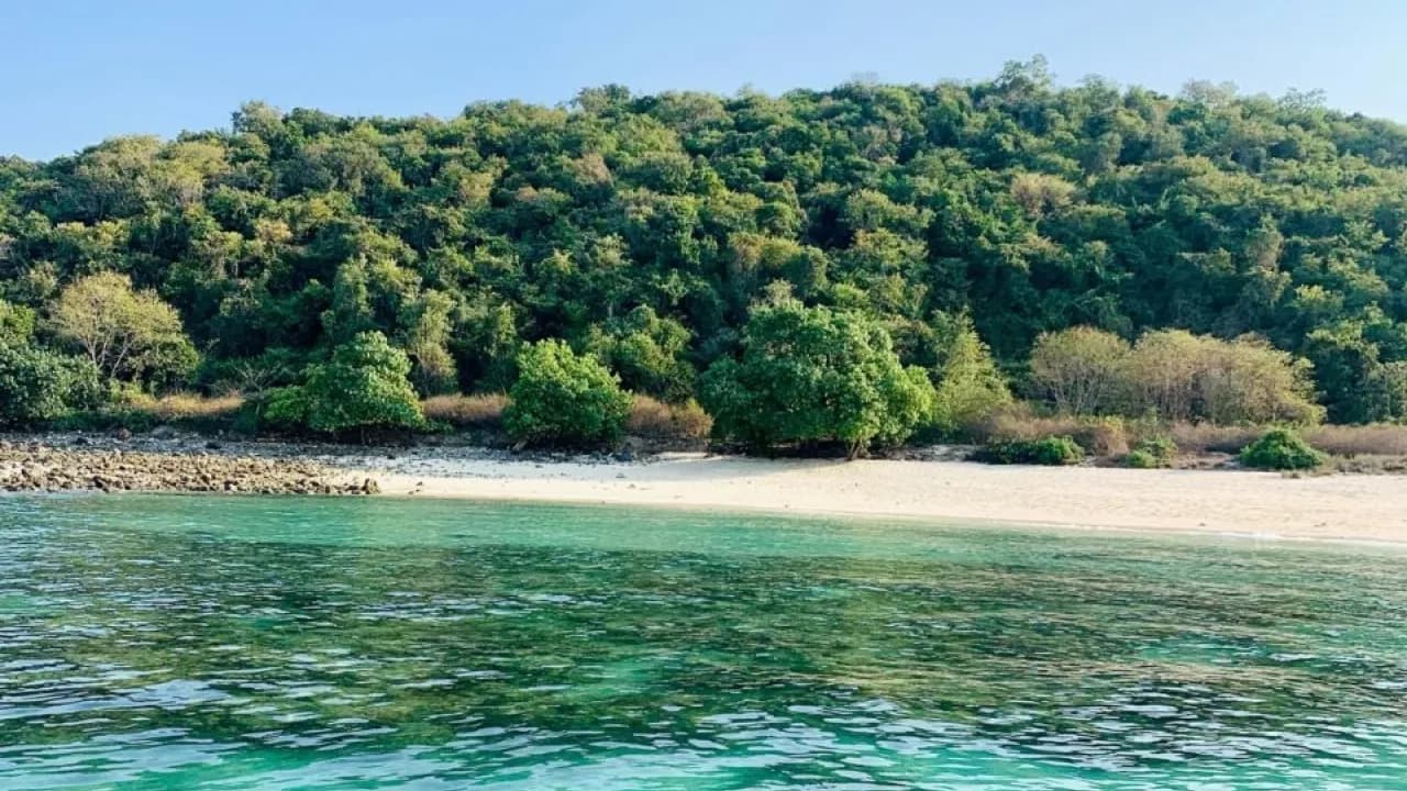 Изображение услуги11